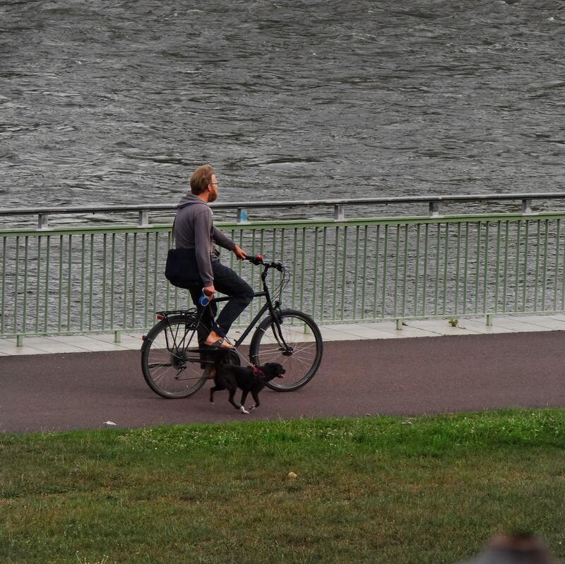 fietsbeugel