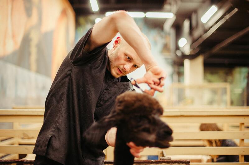 trimtafel hond