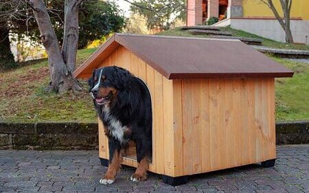 hondenhok hout