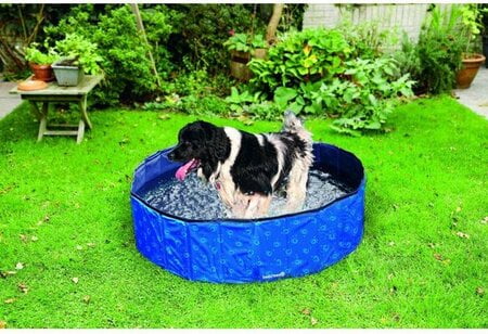 beeztees hondenzwembad