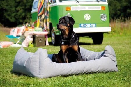 madison hondenkussen