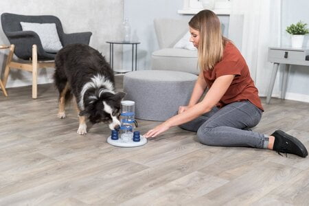 denkspelletjes voor puppies