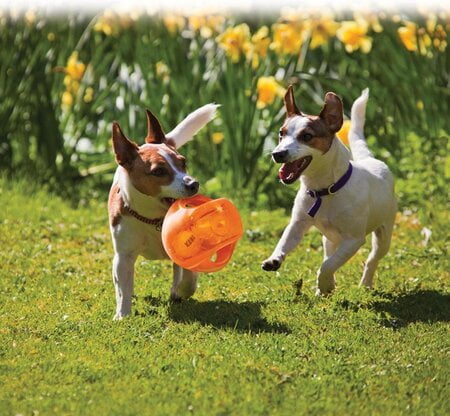 rubber speelgoed hond