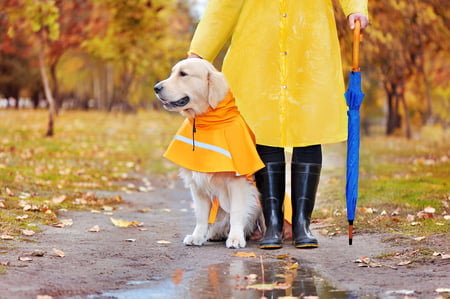 trixie regenjas hond