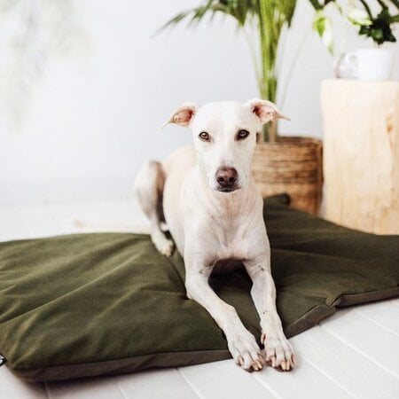 hondenbed groot