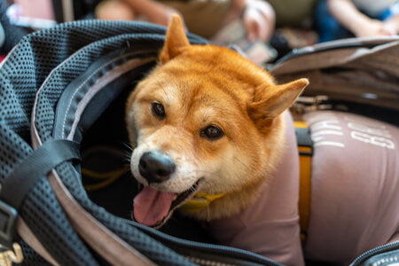 shikoku