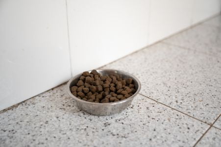 briantos hondenvoeding