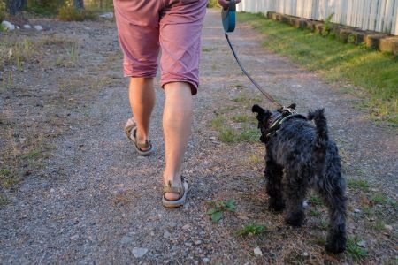 lange lijn hond 5 meter