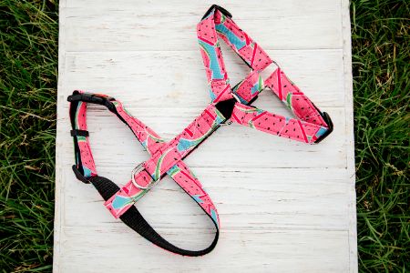 roze hondentuig