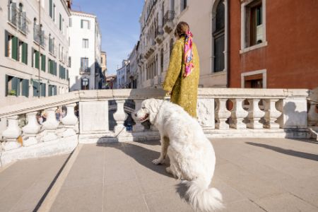 italiaanse hondenrassen