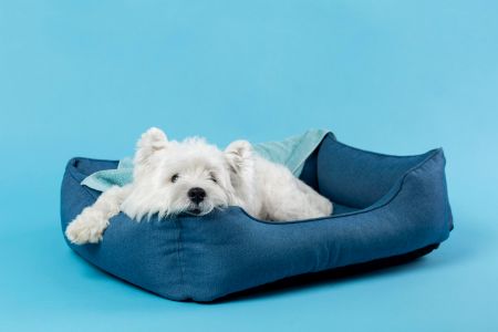 kussen hond 120 x 90