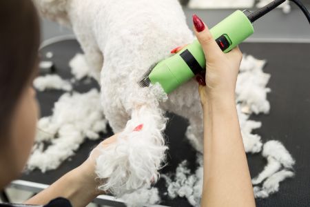 wahl tondeuse voor honden wahl tondeuse voor honden