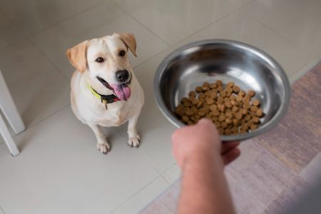 hondenvoer denkadog hondenvoer denkadog