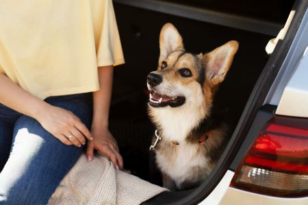 kofferbakbeschermer hond