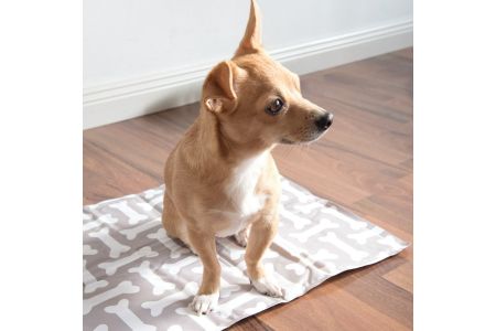 aldi koelmat alternatief