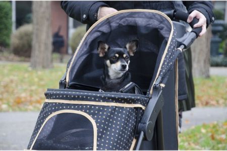 buggy hond 15 kilo