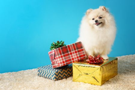 honden cadeau