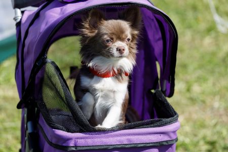honden kinderwagen 15 kilo