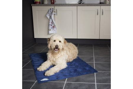 koelmat hond action alternatief koelmat hond action alternatief