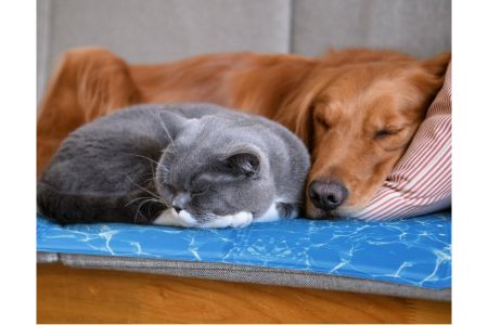 koelmat hond hornbach alternatief