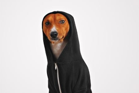 trixie trui hond trixie trui hond