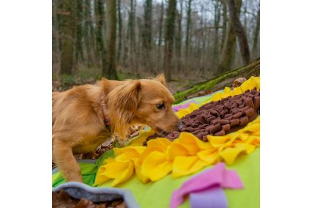 aldi snuffelmat aldi snuffelmat