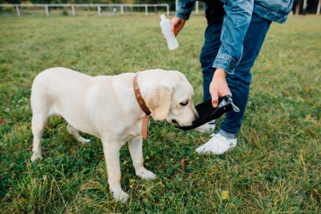 drinkfles hond lidl alternatief drinkfles hond lidl alternatief