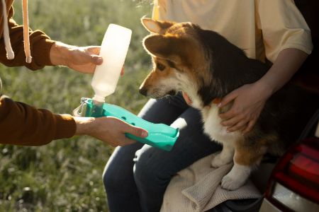 honden drinkfles lidl honden drinkfles lidl
