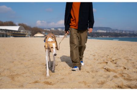 honden riem action honden riem action