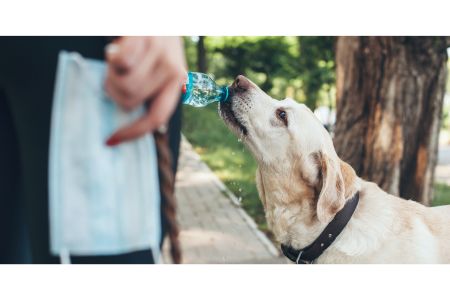 hondendrinkfles Welkoop hondendrinkfles Welkoop