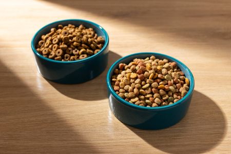 schrokbak hond action