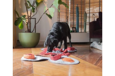 snuffelmat aldi snuffelmat aldi