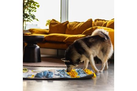 snuffelmat hond action snuffelmat hond action