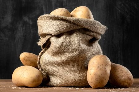 mag een hond aardappelen eten mag een hond aardappelen eten