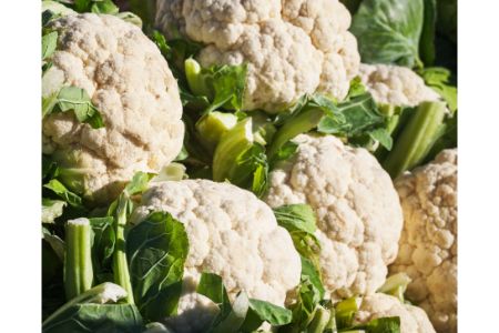 mag een hond gekookte bloemkool