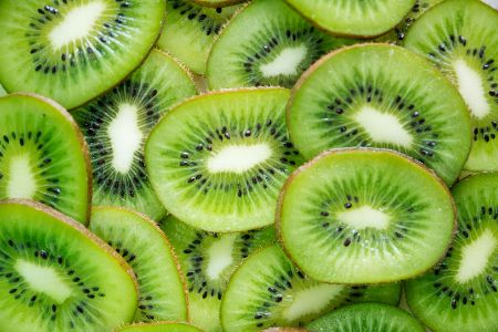 mag hond kiwi mag hond kiwi