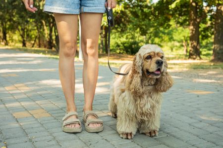 Pets Place hondenriem