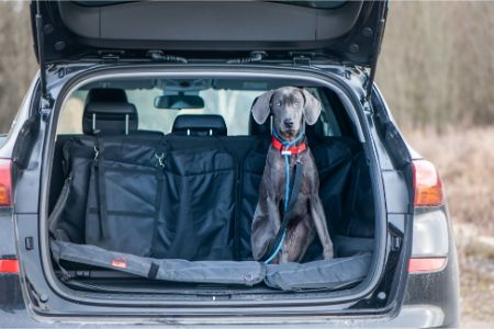 hondendeken auto lidl hondendeken auto lidl