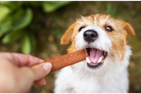 snacktasje hond action