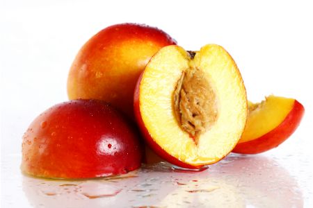 mag een hond nectarine eten