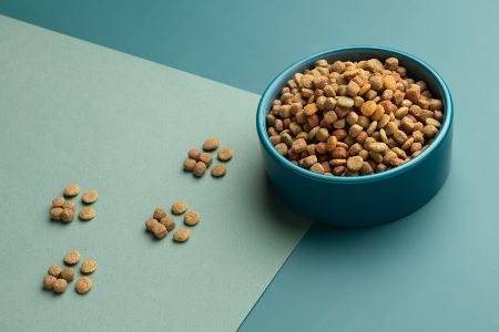 still-life-pet-food-arrangement