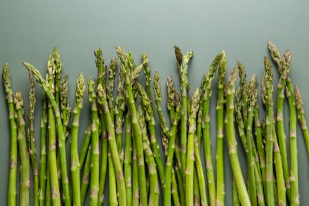 mag een hond asperge mag een hond asperge