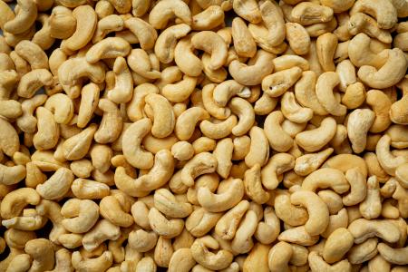 mogen honden cashewnoten