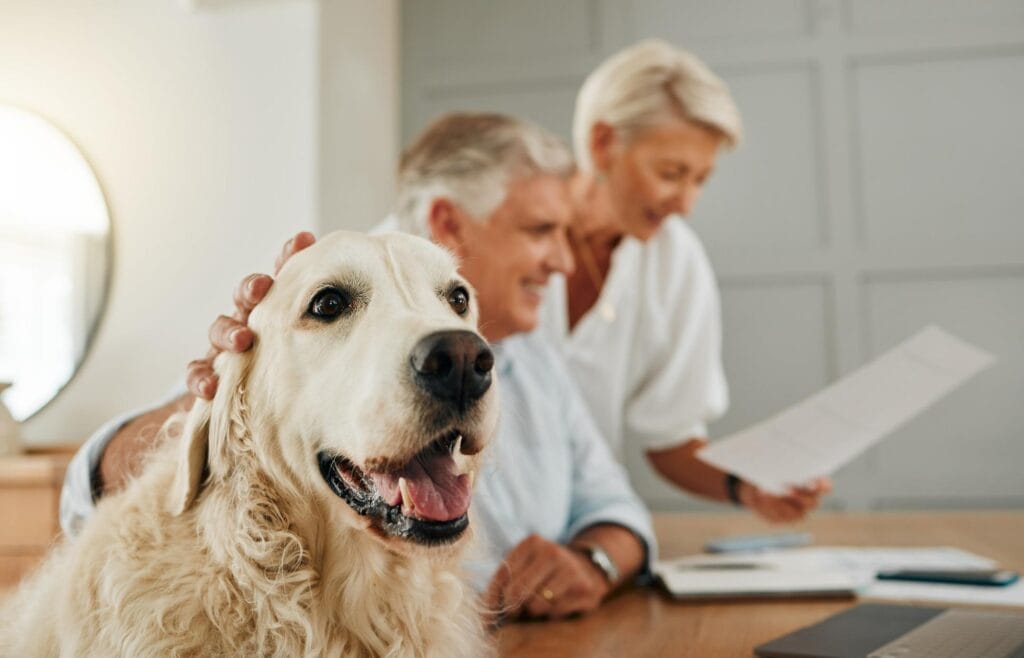 senior-elderly-couple-dog-pet-people-home-looking-contracts-documents-happiness-man-woman-animal-retirement-looking-life-insurance-policy-paperwork-document (1)